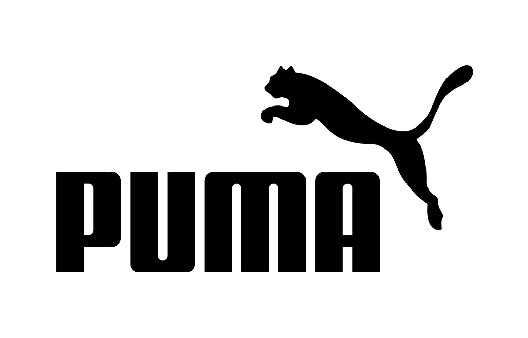 Logo Puma SB Sport
