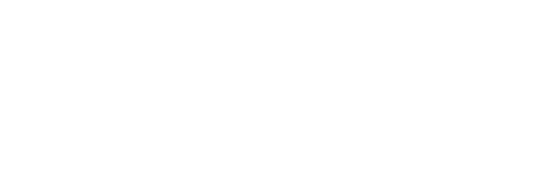 SB Sport Service